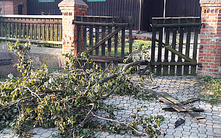 Uszkodzone dachy, połamane drzewa. Potężna wichura w Boleszynie